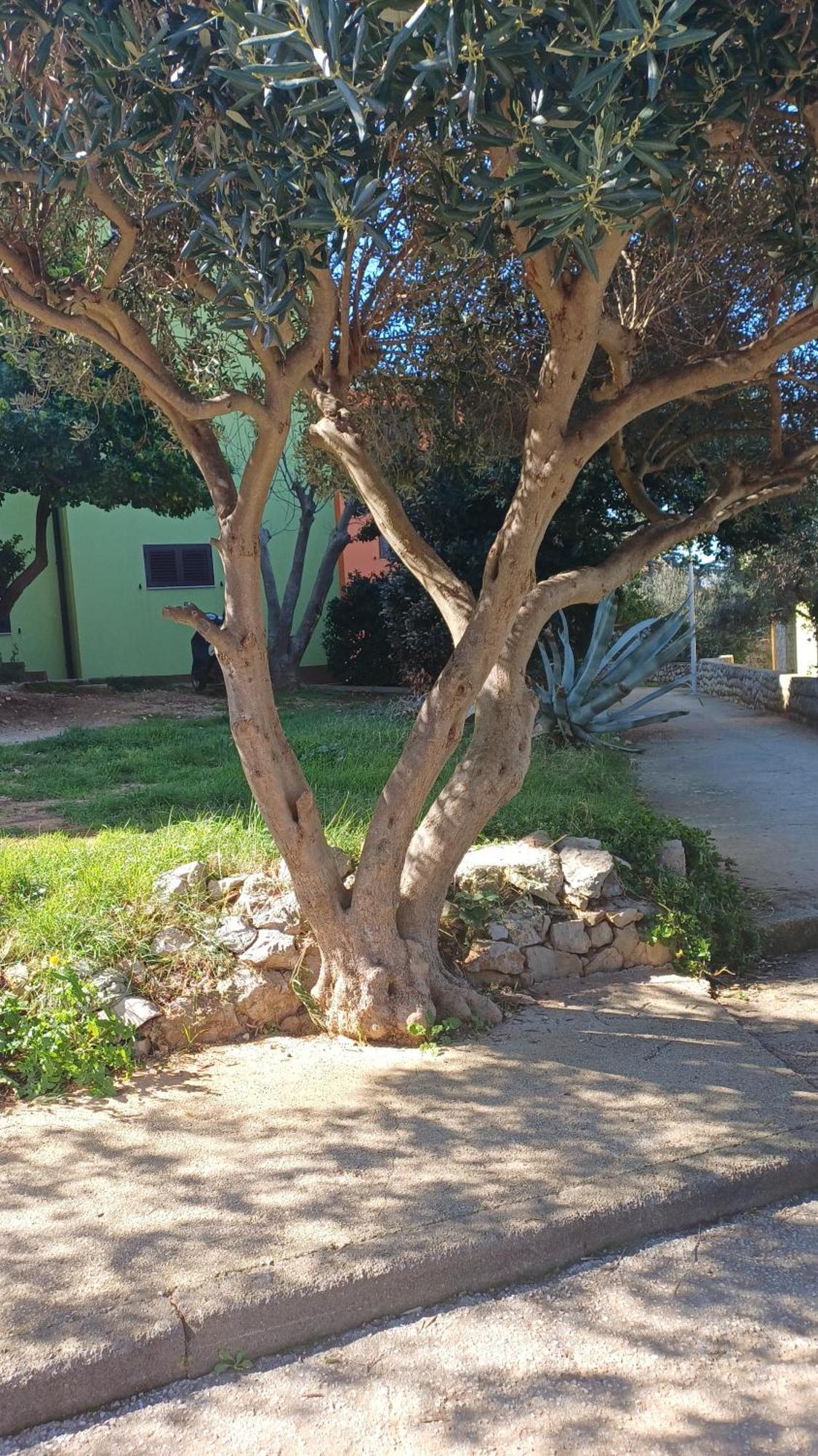 Dairos2 Apartment Mali Losinj Exterior photo